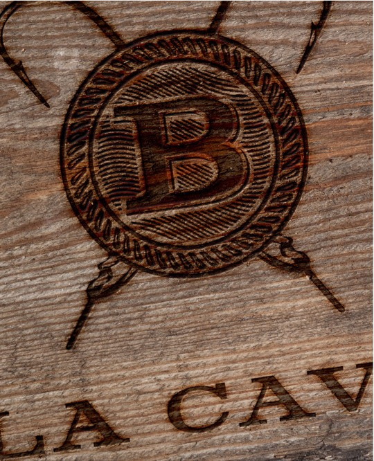 Bayou San Francisco brand application 6
