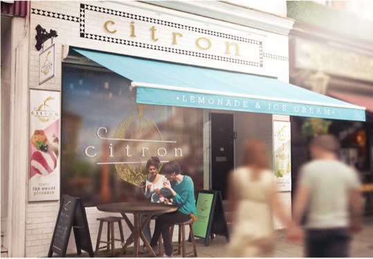 Citron brand application 3