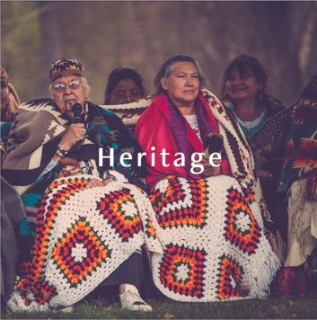 Indigena brand application 5