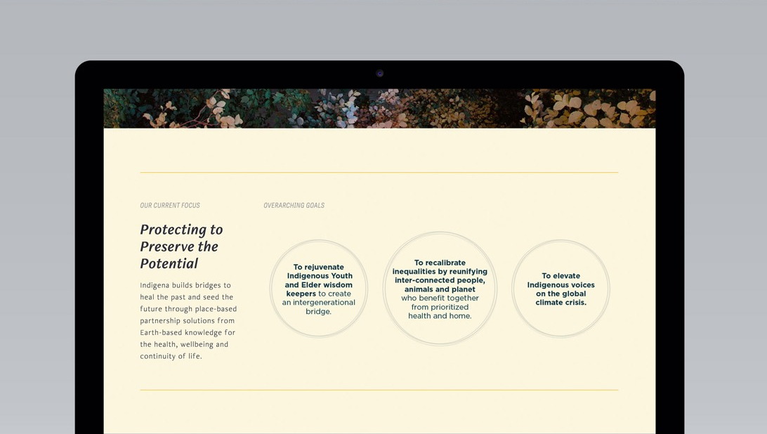 Indigena brand application 8