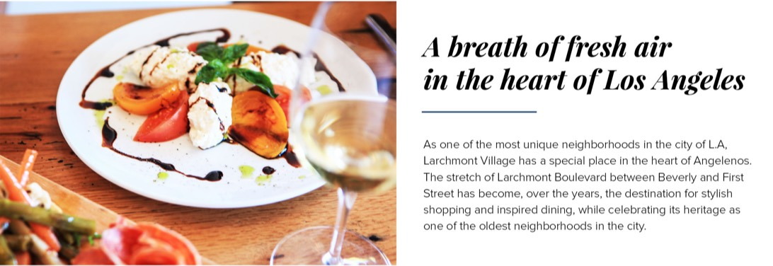 Larchmont Village brand application 5